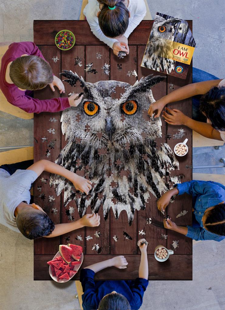 I am puzzle Hibou 550 pc - 10+
