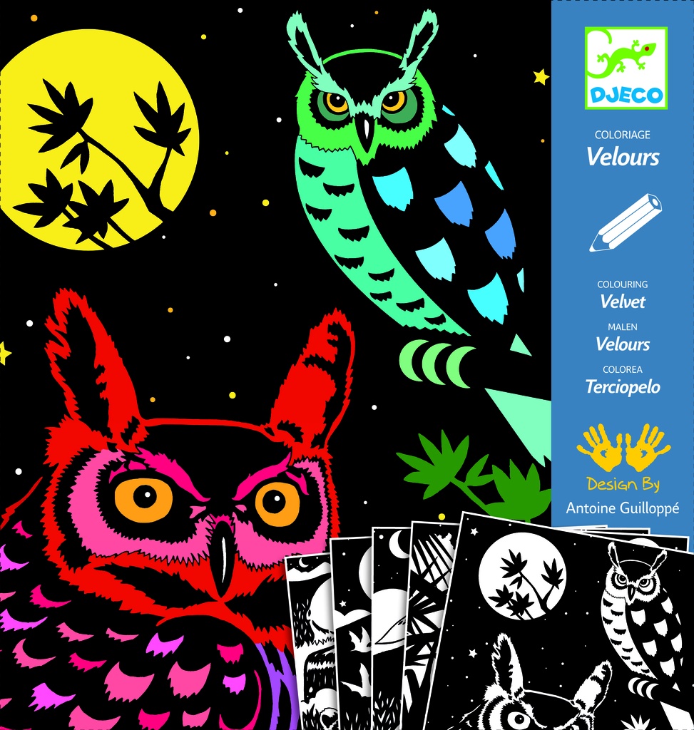 Coloriage des petits La forêt Djeco