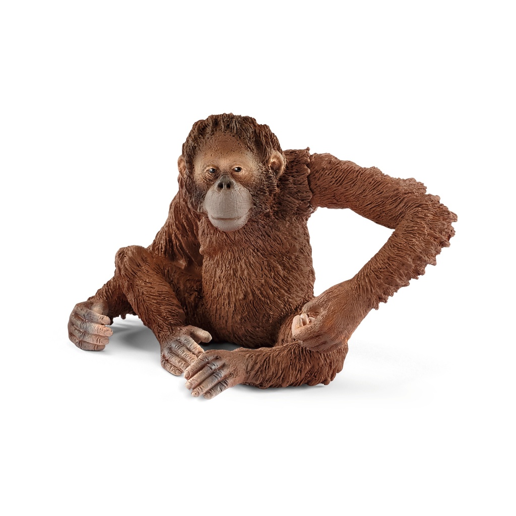 Orang-Outan, Femelle (Wild Life Schleich)