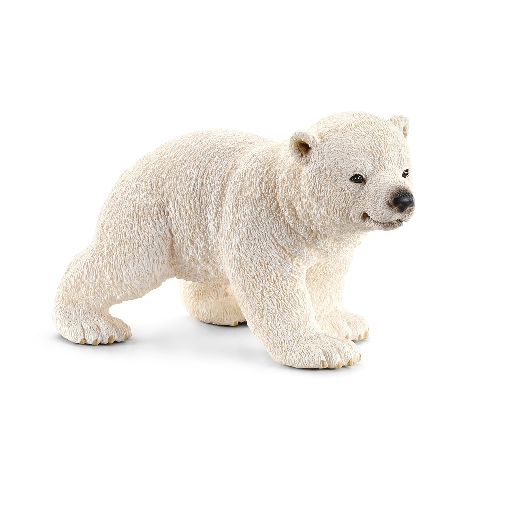 Ourson Polaire (Wild Life Schleich)
