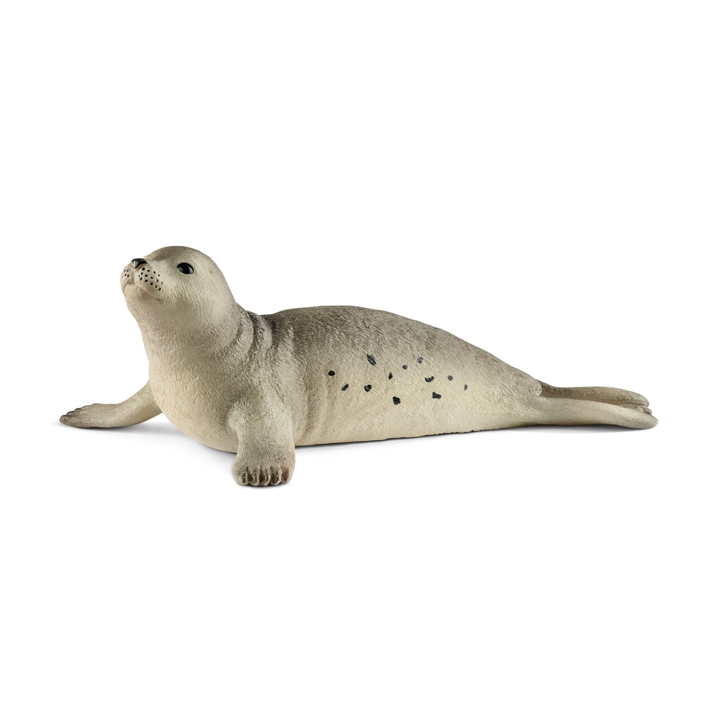 Phoque (Wild Life Schleich)