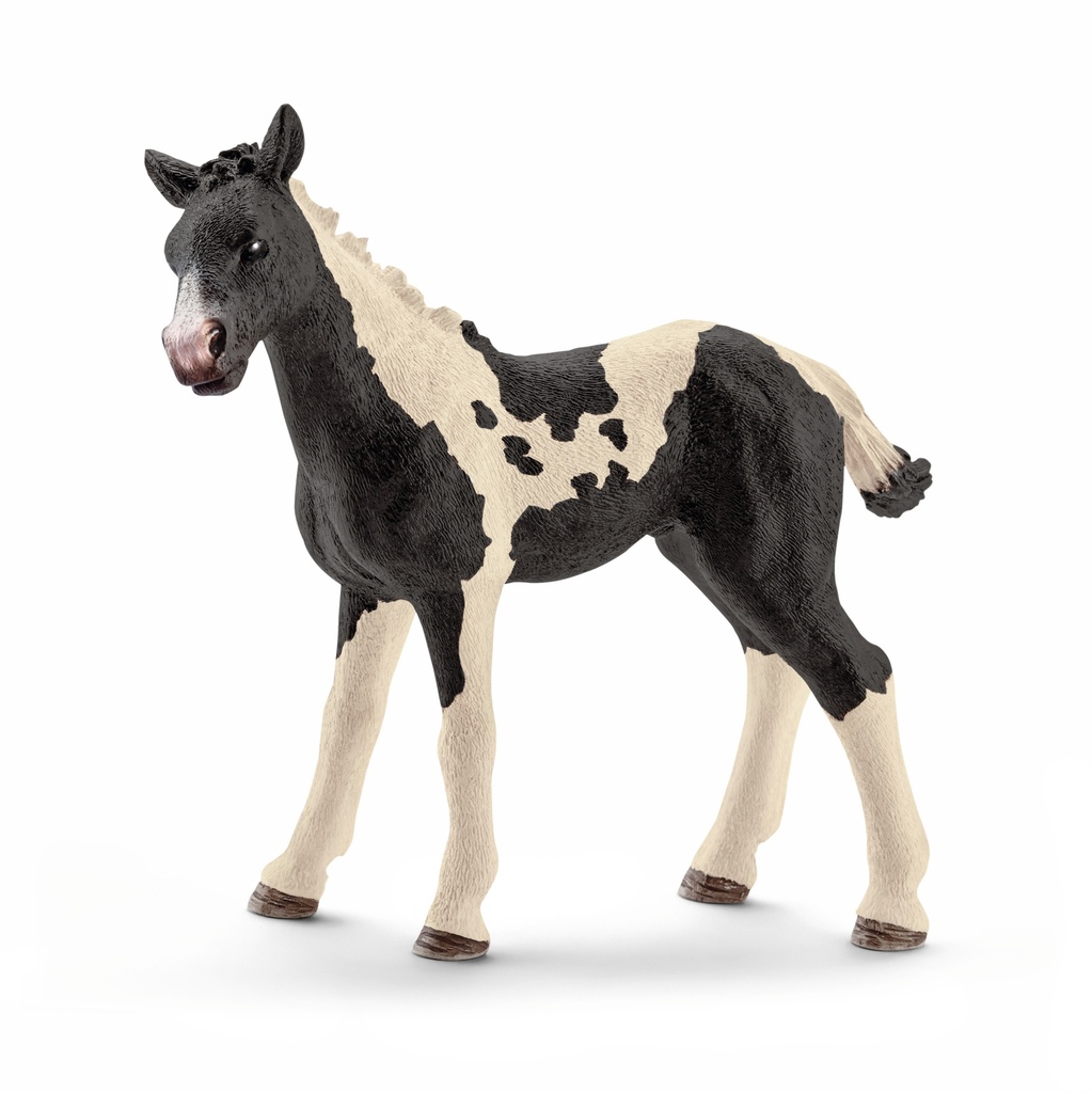 Poulain Pinto (Farm World Schleich)