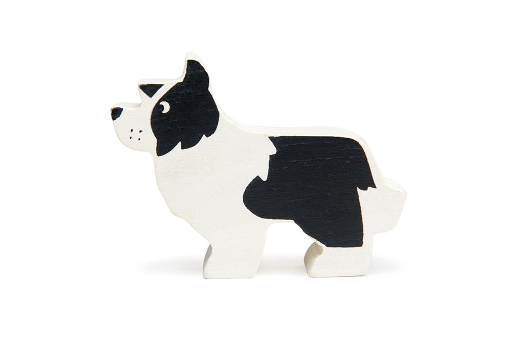 Border collie Tender leaf