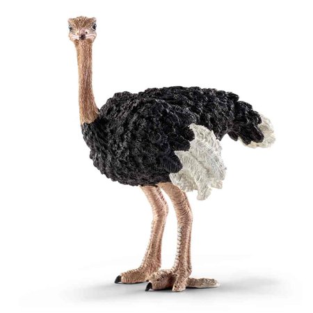 Autruche (Wild Life Schleich)