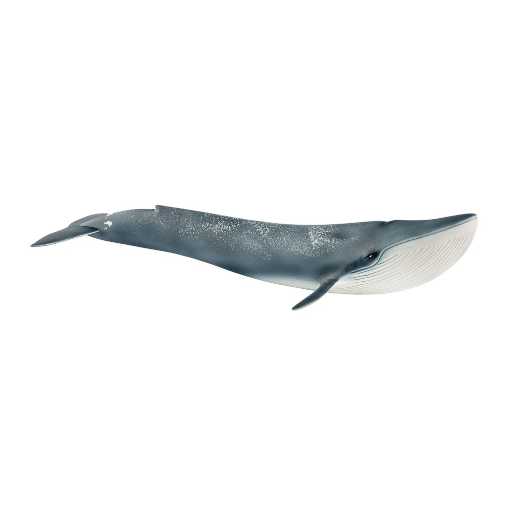 Baleine Bleue (Wild Life Schleich)