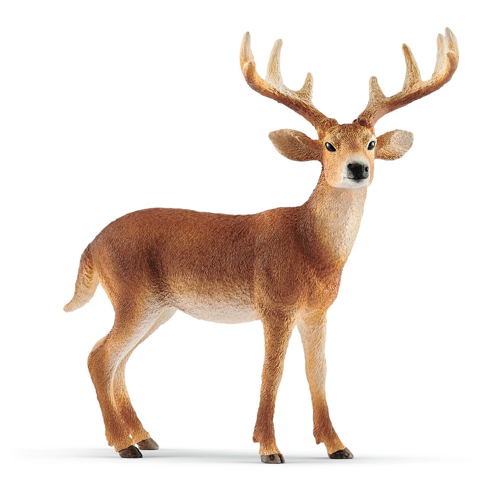Cerf De Virginie (Wild Life Schleich)