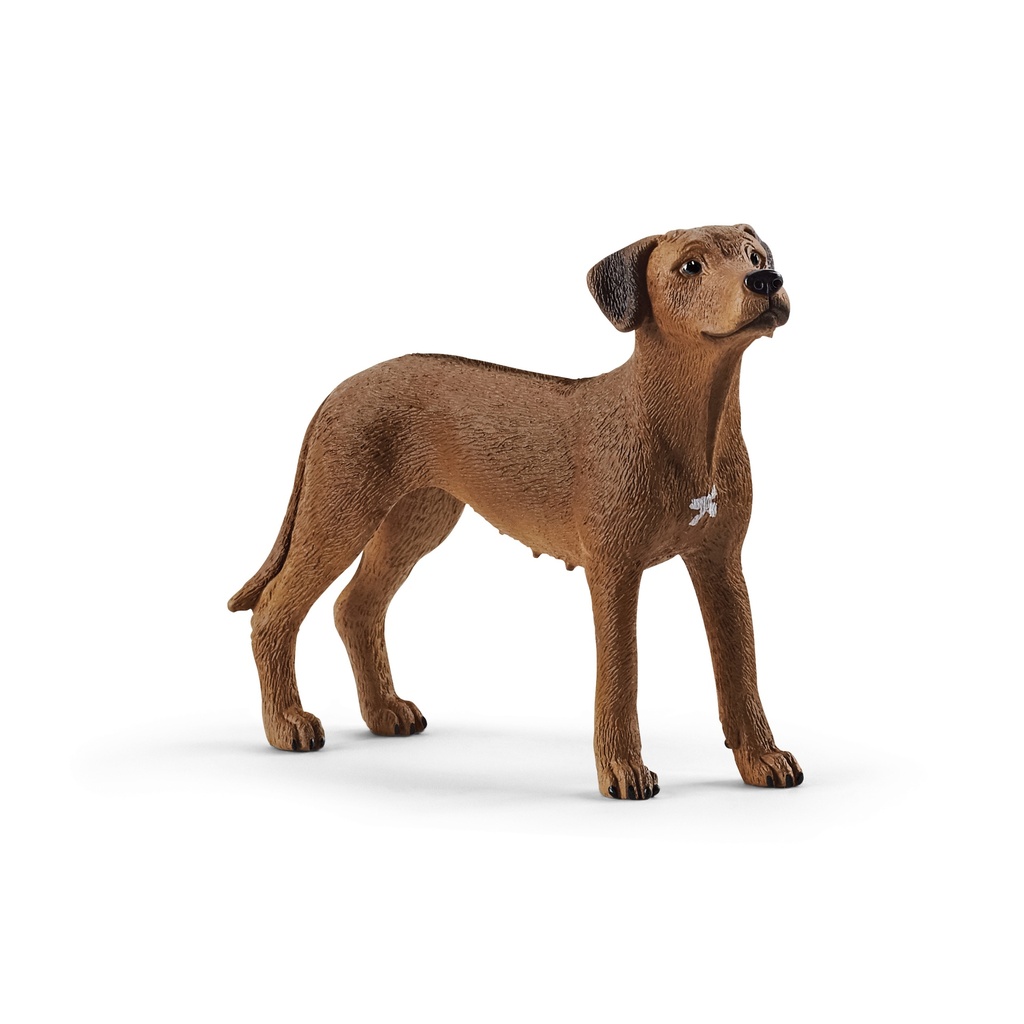 Chien De Rhodésie À Crête Dorsale (Farm World  Schleich)