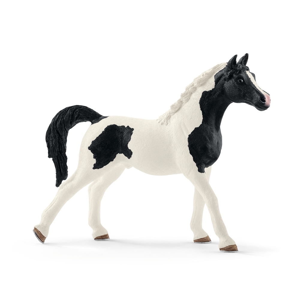 Etalon Pintabian (Horse Club Schleich)