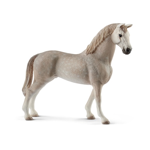 [SCH_13859] Hongre Holstein (Horse Club Schleich)