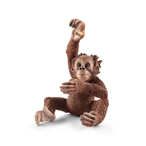 [SCH_14776] Jeune Orang-Outan (Wild Life Schleich)