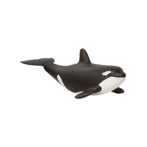 [SCH_14836] Jeune Orque (Wild Life Schleich)