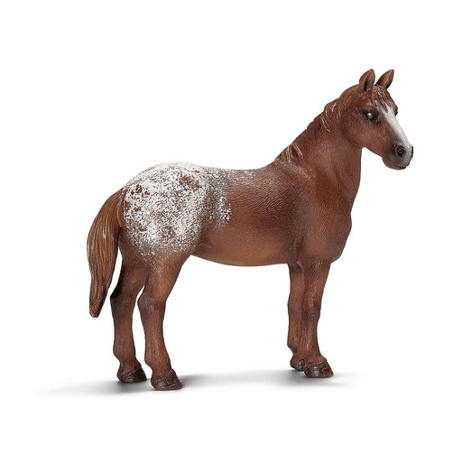 [SCH_13731] Jument Appaloosa (Schleich Farm Life)