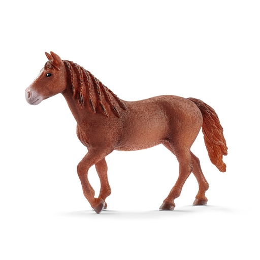 [SCH_13870] Jument Morgan (Farm World Schleich)
