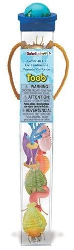 [AXS_S677104] La vie cambrienne (Safari toob)