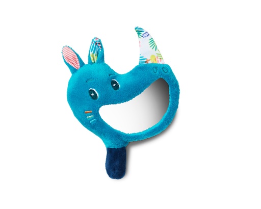 [LIL_83076] Marius Hochet miroir