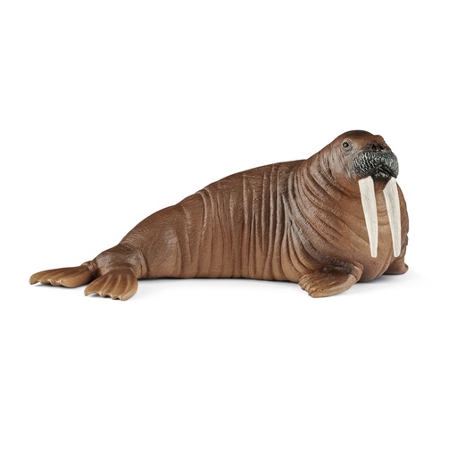 [SCH_14803] Morse (Wild Life Schleich)