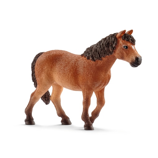 [SCH_13873] Ponette Dartmoor (Farm World Schleich)