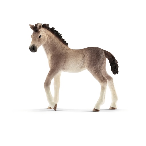 [SCH_13822] Poulain Andalou (Horse Club Schleich)
