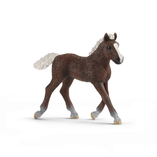 [SCH_13899] Poulain Forêt Noire (Farm World  Schleich)