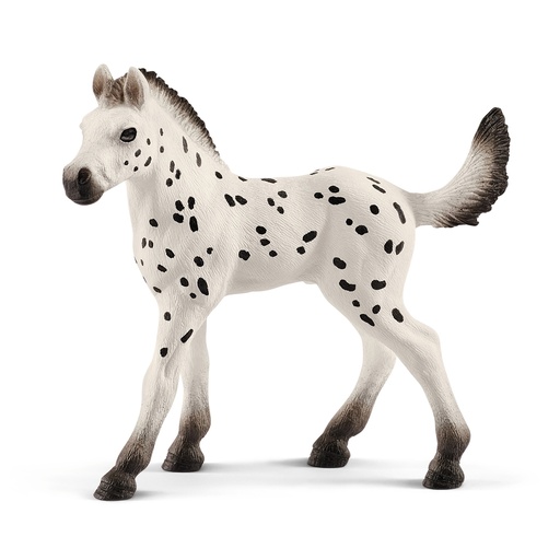 [SCH_13890] Poulain Knabstrupper (Horse Club Schleich)