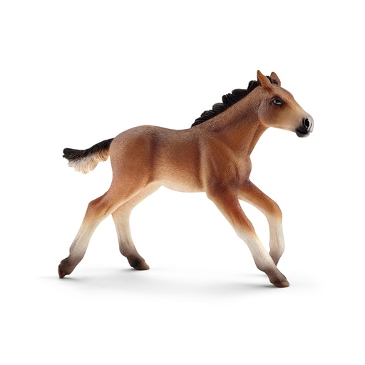[SCH_13807] Poulain Mustang (Farm World Schleich)