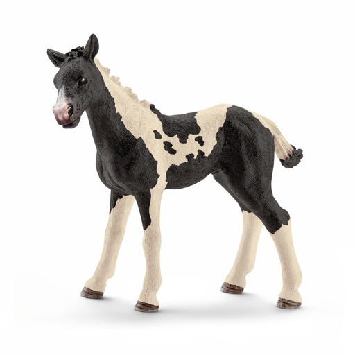 [SCH_13803] Poulain Pinto (Farm World Schleich)