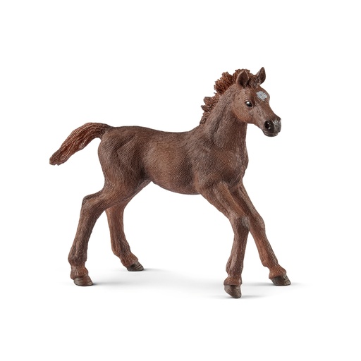 [SCH_13857] Poulain Pur-Sang Anglais (Horse Club Schleich)