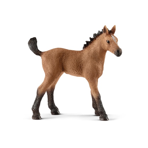 [SCH_13854] Poulain Quarter Horse (Horse Club Schleich)