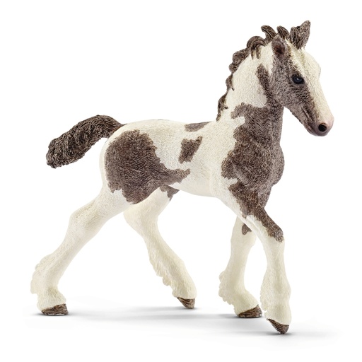 [SCH_13774] Poulain Tinker (Farm World Schleich)