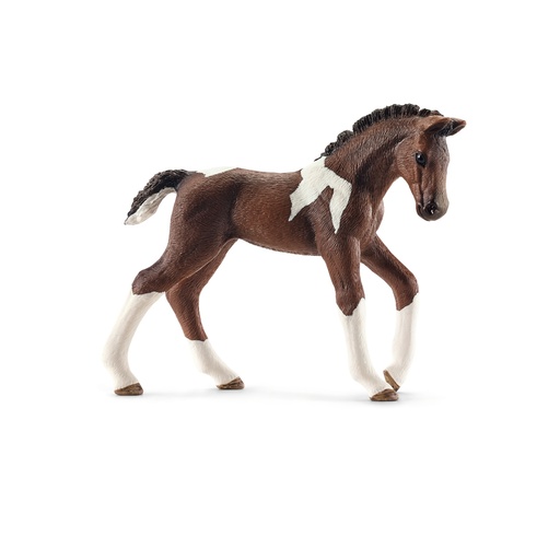 [SCH_13758] Poulain Trakehnen (Horse Club Schleich)