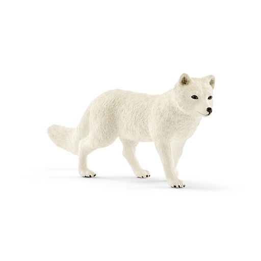 [SCH_14805] Renard Polaire (Wild Life Schleich)