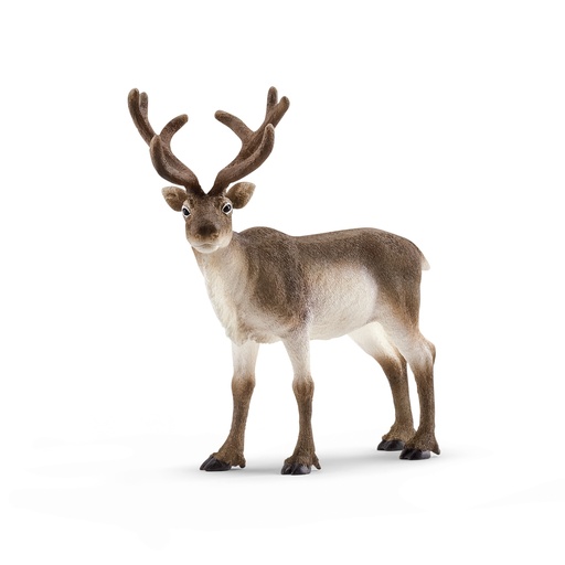 [SCH_14837] Renne (Wild Life Schleich)