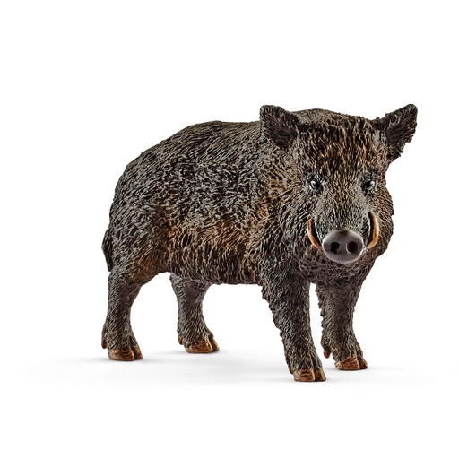 [SCH_14783] Sanglier (Wild Life Schleich)