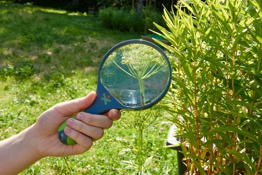 [HAB_1303529001] Terra Kids - Loupe pour enfants