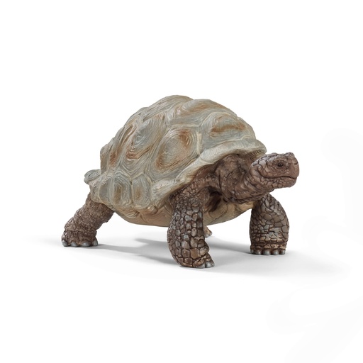 [SCH_14824] Tortue Géante (Wild Life Schleich)