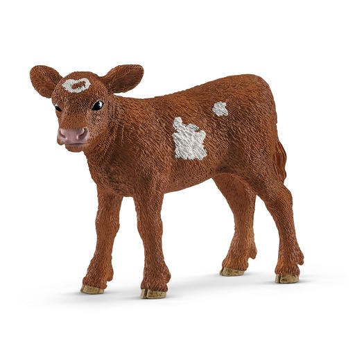 [SCH_13881] Veau Texas Longhorn (Farm World Schleich)