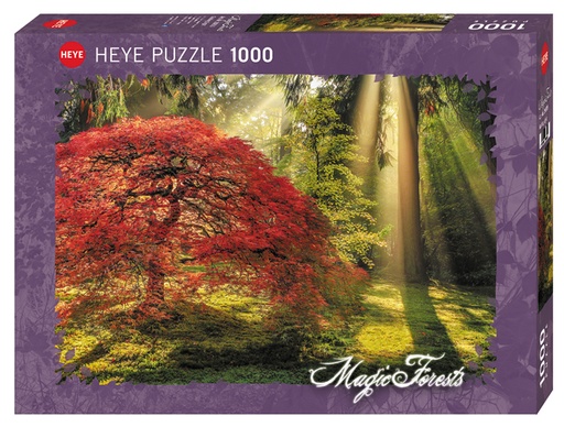 [58385] Puzzle 1000p Guiding Light Heye