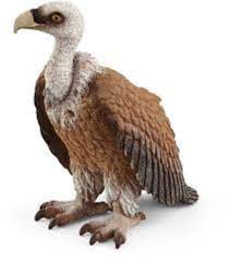 [SCH_14847] Vautour (Wild Life Schleich)