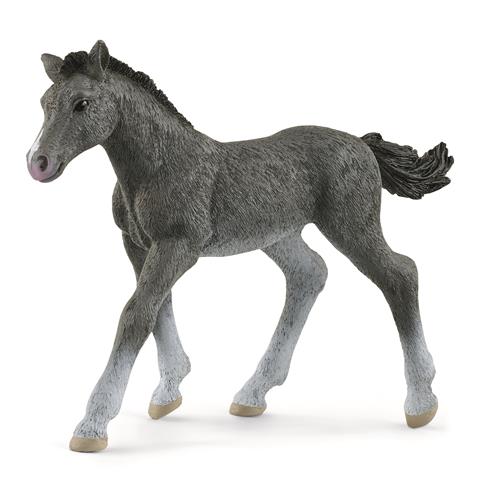 [SCH_13944] Poulain Trakehnen Horse Club Schleich