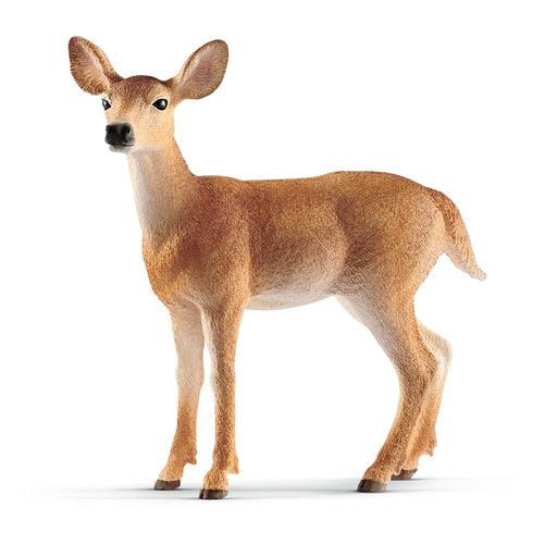 [SCH_14819] Biche De Virginie (Wild Life Schleich)