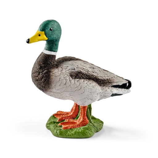 [SCH_13824] Canard (Farm World Schleich)