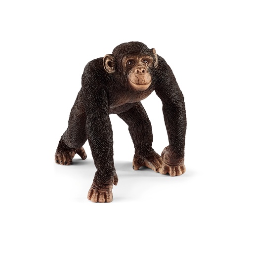 [SCH_14817] Chimpanze Mâle (Wild Life Schleich)