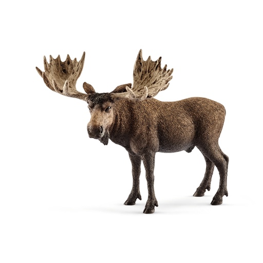 [SCH_14781] Elan, Mâle (Wild Life Schleich)