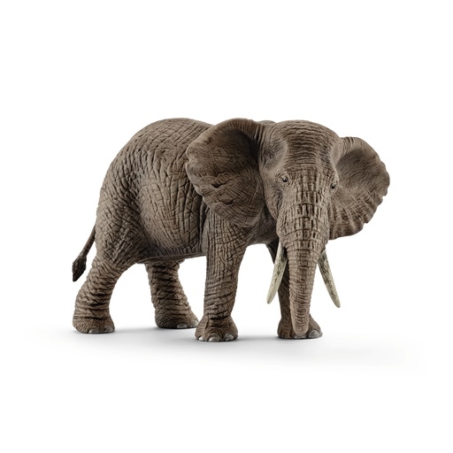 [SCH_14761] Elephant D'Afrique Femelle (Wild Life Schleich)