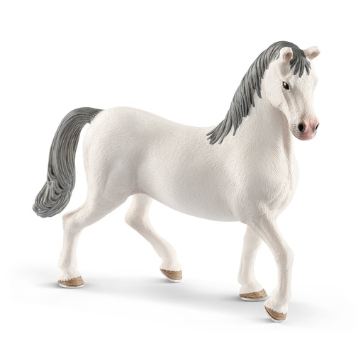 [SCH_13887] Etalon Lipizzan (Horse Club Schleich)