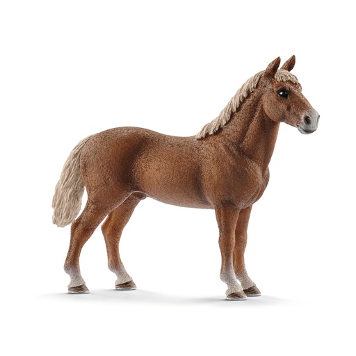 [SCH_13869] Etalon Morgan (Farm World Schleich)