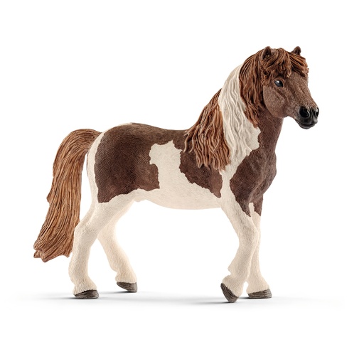 [SCH_13815] Etalon Poney Islandais (Horse Club Schleich)