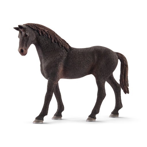 [SCH_13856] Etalon Pur-Sang Anglais (Horse Club Schleich)